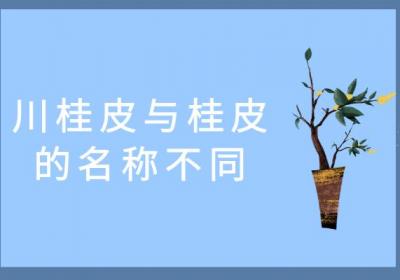 川桂皮和桂皮有什么区别？