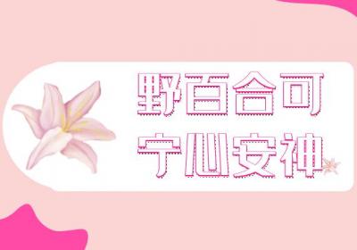 野百合的功效与作用及禁忌有哪些？