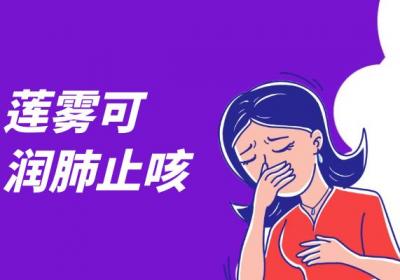 莲雾的功效与作用及禁忌有哪些？