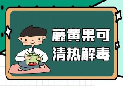 藤黄果的功效与作用及禁忌有哪些？