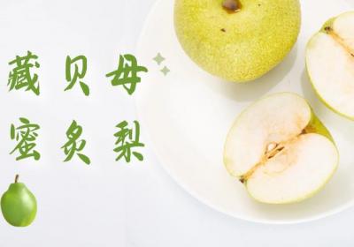 藏贝母的食用方法 藏贝母食疗方