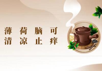薄荷脑的功效与作用及禁忌