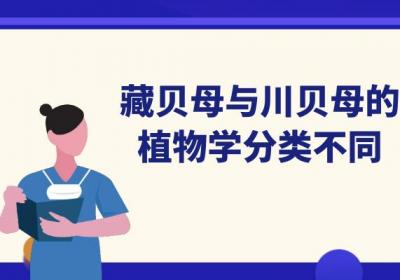 藏贝母与川贝母的区别有哪些？两者有这些不同之处