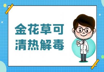 金花草的功效与作用及禁忌有哪些？