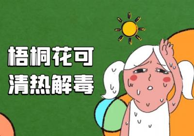 梧桐花的功效与作用及禁忌