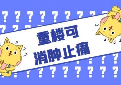 重楼的功效与作用及禁忌有哪些？