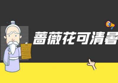 蔷薇花的功效与作用及禁忌有哪些？