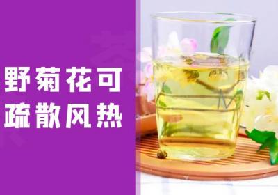 野菊花的功效与作用及禁忌有哪些？