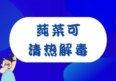 莼菜的功效与作用及禁忌有哪些？
