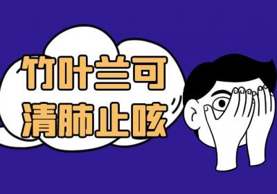 竹叶兰的功效与作用及禁忌有哪些？