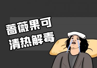 蔷薇果的功效与作用及禁忌有哪些？