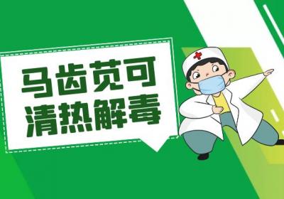 关于马齿苋的功效与作用及禁忌你了解多少？