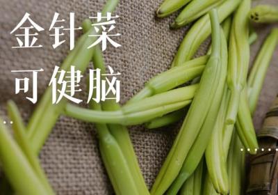 金针菜的功效与作用及禁忌有哪些？