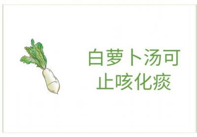 白萝卜汤的功效与作用及禁忌