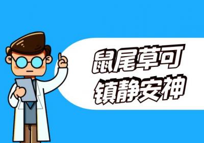 鼠尾草的功效与作用及禁忌有哪些？