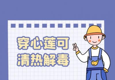 穿心莲的功效与作用及禁忌有哪些？