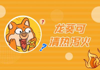 龙葵的功效与作用及禁忌有哪些？