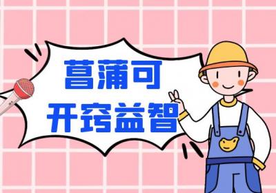 菖蒲的功效与作用及禁忌有哪些？
