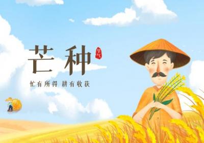 芒种传统习俗