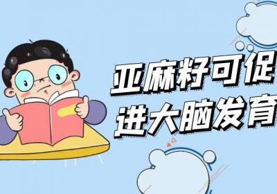 亚麻籽的功效与作用及禁忌有哪些？
