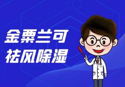 金粟兰的功效与作用及禁忌有哪些？