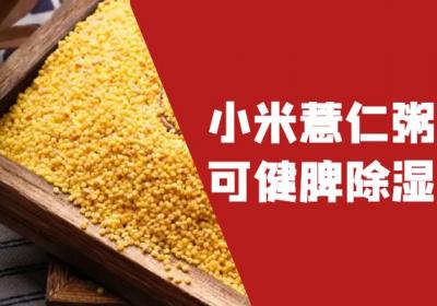 小米薏仁粥的功效与作用有哪些？