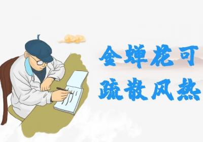 关于金蝉花的功效与作用及禁忌你了解多少？