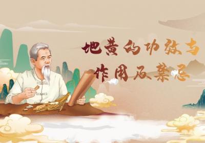 地黄的功效与作用及禁忌