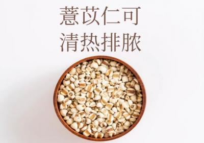 薏苡仁的功效与作用及禁忌