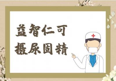 益智仁的功效与作用及禁忌