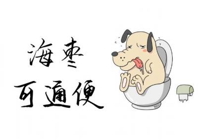 海枣的功效与作用及禁忌有哪些？