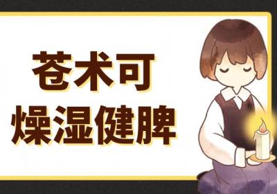 关于苍术的功效与作用及禁忌你了解多少？