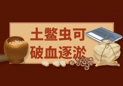 土鳖虫的功效与作用及禁忌有哪些？