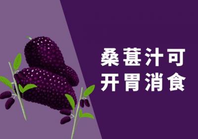 桑葚汁的功效与作用及禁忌有哪些？