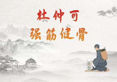 关于杜仲的功效与作用及禁忌你了解多少？