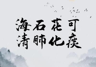 海石花的功效与作用及禁忌有哪些？