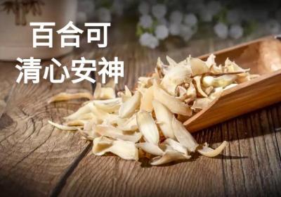 关于百合的功效与作用及禁忌你了解多少？