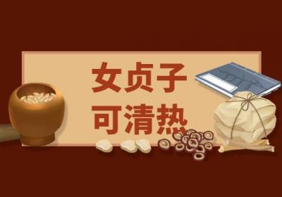 关于女贞子的功效与作用及禁忌你了解多少？