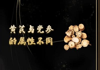 党参与黄芪的区别有哪些？两者有这些不同之处