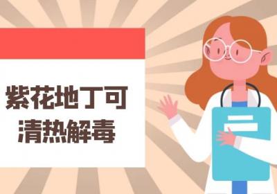 关于紫花地丁的功效与作用及禁忌你了解多少？