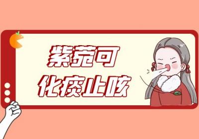 关于紫菀的功效与作用及禁忌你了解多少？