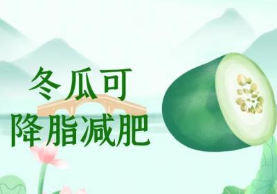 冬瓜的功效与作用及禁忌有哪些？