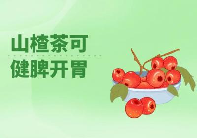 山楂茶的功效与作用及禁忌山楂茶不适合哪些人喝？