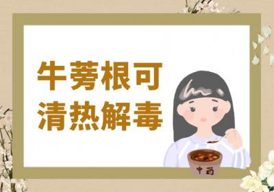 牛蒡根的功效与作用及禁忌有哪些？
