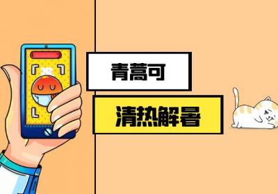青蒿的功效与作用及禁忌有哪些？