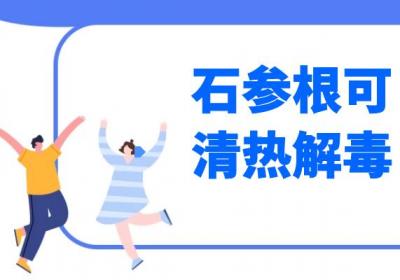 石参根的功效与作用吃石参根有什么好处？