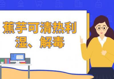蕉芋的功效与作用有哪些？