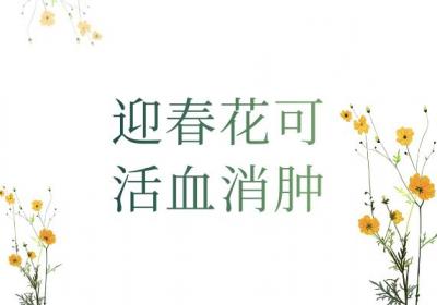 关于迎春花的功效与作用及禁忌你了解多少？
