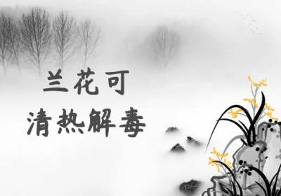 关于兰花的功效与作用及禁忌你了解多少？