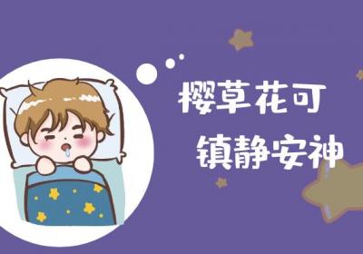 关于樱草花的功效与作用及禁忌你了解多少？